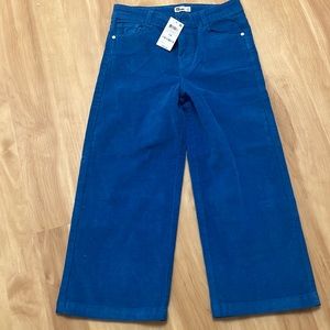Blue corduroy pants